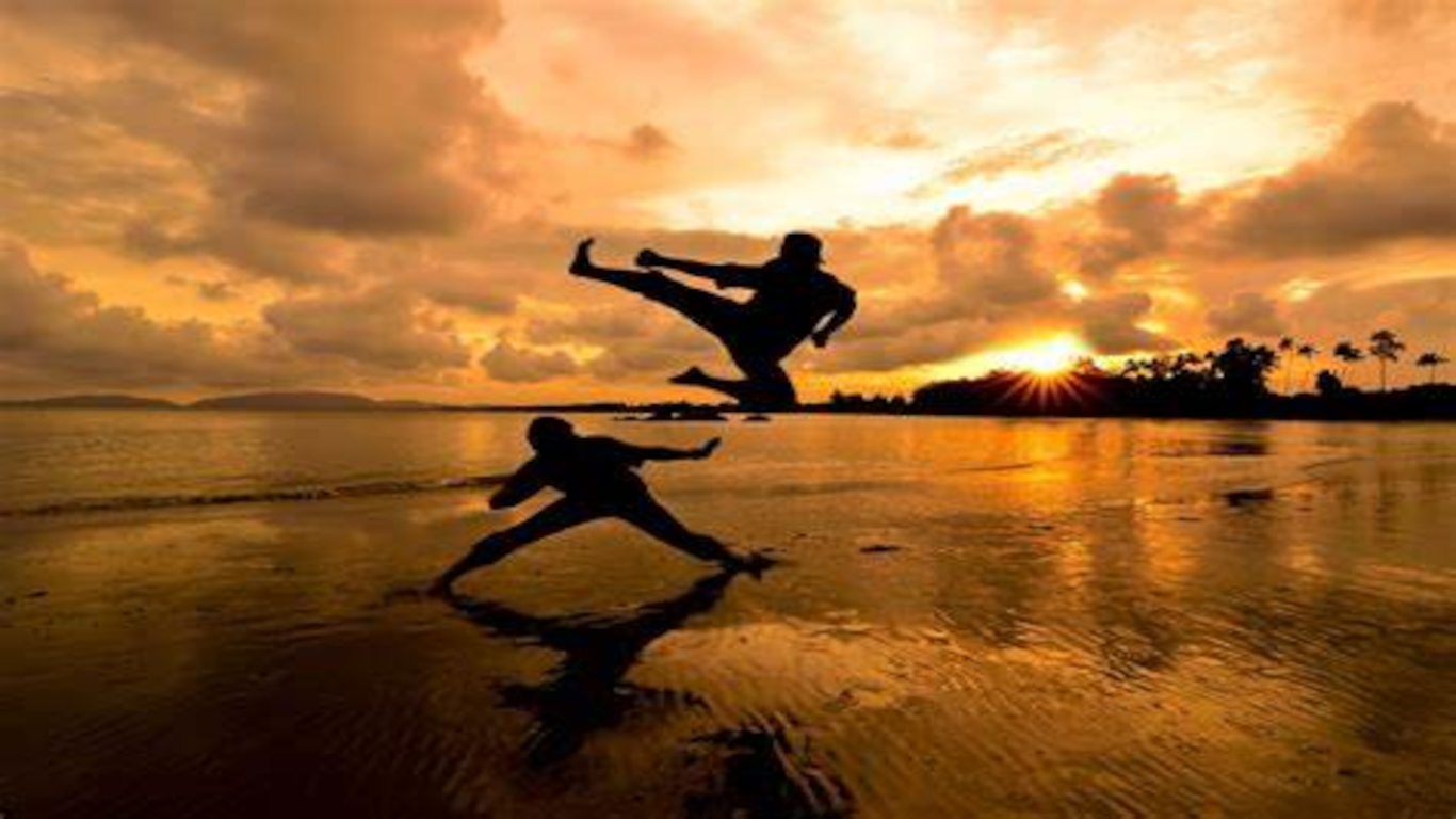 Martial Arts
