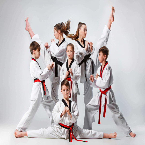 Martial Arts